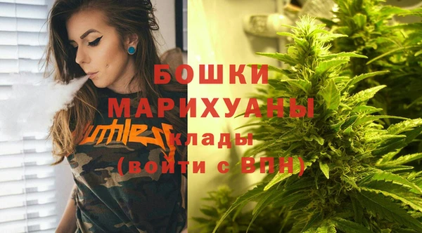 ГАЛЛЮЦИНОГЕННЫЕ ГРИБЫ Бежецк