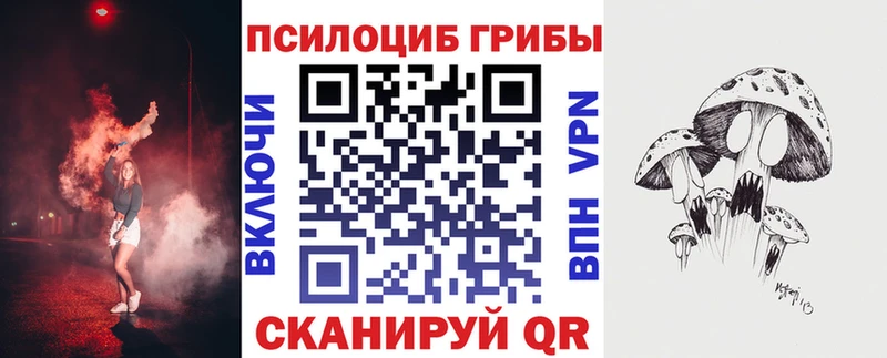 Псилоцибиновые грибы мицелий  где можно купить наркотик  Змеиногорск 