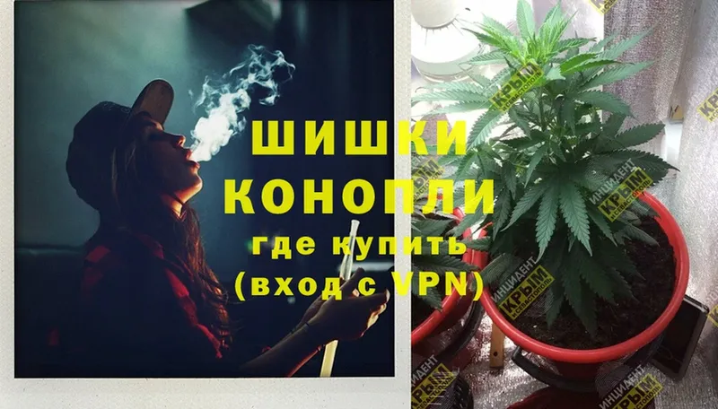 магазин продажи наркотиков  Змеиногорск  Конопля White Widow 